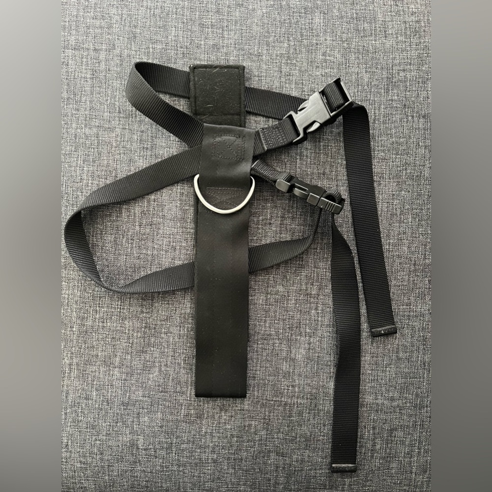 Large Aspen Pet Products Canine Seatbelt